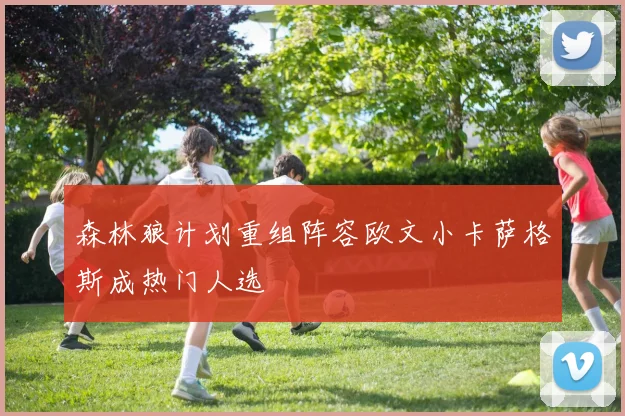 森林狼计划重组阵容欧文小卡萨格斯成热门人选